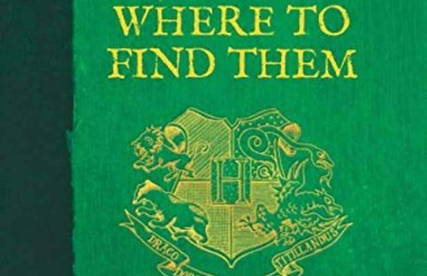 Book-Inspired Fashion: Fantastic Beasts and Where to Find Them